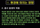 [4대강 복원사업] 4대강사업의 장단점과 환경에 미치는 영향 및 외국의 사례 및 당위성 9페이지