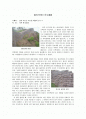 삼년산성(三年山城) 조사 보고서 1페이지