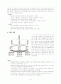 체육행정괸리 조직이론  5페이지