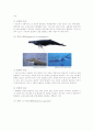 국내 고래 조사 레포트 10페이지
