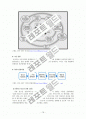 청소년 가출과 사회복지적 개입 전략 20페이지