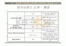 국민은행의 방카쉬랑스(Bancassurance) 마케팅 전략 분석 12페이지