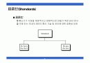 데이터 통신 및 네트워크 프로토콜 표준안에 대한 분석 17페이지