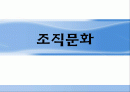 삼양그룹의 조직문화 1페이지