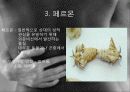 성심리학-성교행위와 성반응 39페이지