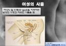 성심리학-성교행위와 성반응 51페이지