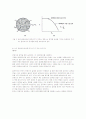 연속 반응기 종합 레포트 10페이지