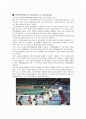 삼성의 2010년 스포츠마케팅에 대한 고찰 1페이지