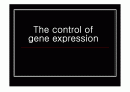 [나노]The control of gene expression (유전자 발현 조절) 에 관한 발표보고 1페이지