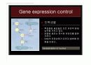 [나노]The control of gene expression (유전자 발현 조절) 에 관한 발표보고 6페이지