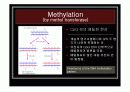 [나노]The control of gene expression (유전자 발현 조절) 에 관한 발표보고 9페이지