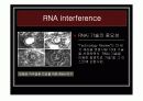 [나노]The control of gene expression (유전자 발현 조절) 에 관한 발표보고 12페이지