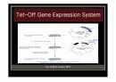 [나노]The control of gene expression (유전자 발현 조절) 에 관한 발표보고 15페이지