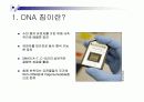 DNA칩의 원리,종류,응용분야에 관한 조사보고서 3페이지