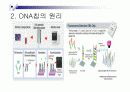 DNA칩의 원리,종류,응용분야에 관한 조사보고서 4페이지