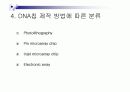 DNA칩의 원리,종류,응용분야에 관한 조사보고서 6페이지