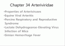 Arteriviridae 2페이지