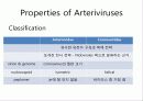 Arteriviridae 3페이지