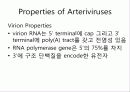 Arteriviridae 5페이지