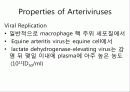Arteriviridae 7페이지