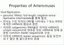 Arteriviridae 8페이지