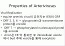 Arteriviridae 10페이지