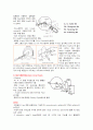 XRD실험 결과레포트 2페이지