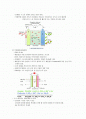 그린에너지(신에너지 3가지,재생에너지 8가지) 2페이지