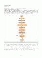 Visual C++을 이용한 CRC구현 5페이지