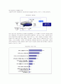 포털사이트 네이버(Naver)의 성공전략 6페이지