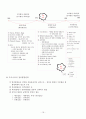 행정의 기초이론 16페이지