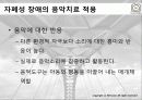 자폐성장애 15페이지