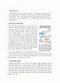 [포이즌 필]정부의 경영권 방어를 위한 포이즌 필 도입 논란에 대한 찬반양론 및 나의 생각, 포이즌 필 도입 논란의 배경 및 주요 쟁점 분석 10페이지