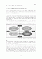 IT 839와 관련 산업에 관한 레포트 3페이지