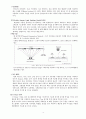 Flexible Display 정의(개요), 핵심 기술, 기술별 국내외 기술 개발 현황, 특허분석, 향후 시장성과 경쟁력 분석 6페이지