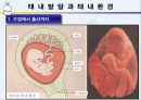 [인간행동과 사회환경]인간발달의 유전적 기초, 태내발달과 태내환경, 출산과 신생아기 시기에 대한 이론과  발달단계 ppt  18페이지