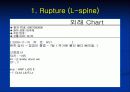 척추질환에 따른 영상의학 영상 19페이지