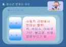 [청소년교육개론]청소년 문제의 의미와 성격,위험행동에 대한 조사와 대안책 5페이지