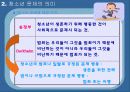 [청소년교육개론]청소년 문제의 의미와 성격,위험행동에 대한 조사와 대안책 13페이지