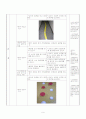 균형잡기 지도안(세안) - 매트 및 평균대 10페이지
