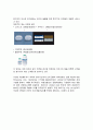 연구개발(R&D)의 국제화와 신제품 개발 사례 연구 : (주)화이자 7페이지