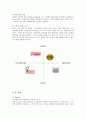 크리스피 크림 도넛의 마케팅 분석 12페이지