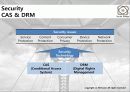 Public Broadcast Service_case analysis 13페이지