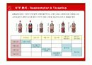 다국적기업 코카콜라의 마케팅 전략 11페이지