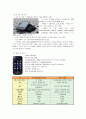 [IT]스마트폰 시장분석과 우리 이동통신산업의 경쟁우위 전략 5페이지