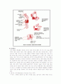 성인간호학 case study - COPD 8페이지