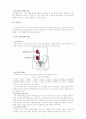 사회복지학과 의료사회복지 (만성신부전) 11페이지