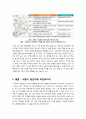 [행정중심복합도시]행정중심복합도시(세종시) 수정안을 반대하는 이유 - 행정중심복합도시 수정안의 문제점 및 한계, 역기능 비판을 중심으로 6페이지