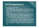 CNT의 전기적 성질을 이용한 설계 5페이지