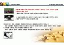 화폐전쟁 독서토론 및 금(골드리슈) 투자 적용 36페이지